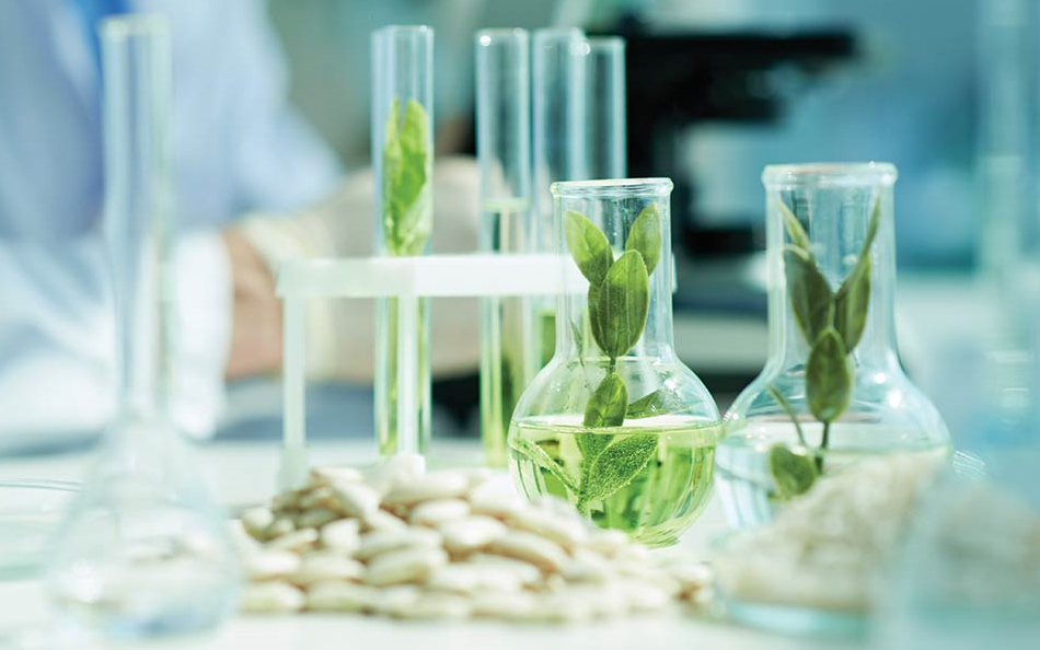 Теоретические основы микробиологических методов испытаний на безопасность пищевой продукции