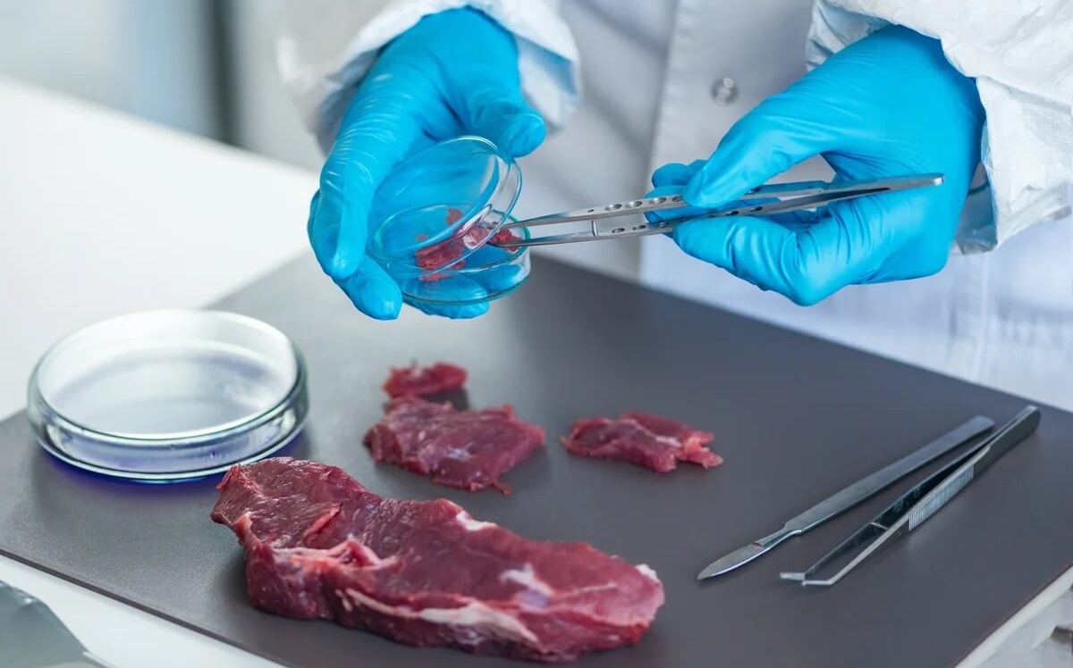Оценка соответствия. Проведение испытаний на безопасность мяса и мясной продукции в соответствии с требованиями ТР ТС 034/2013